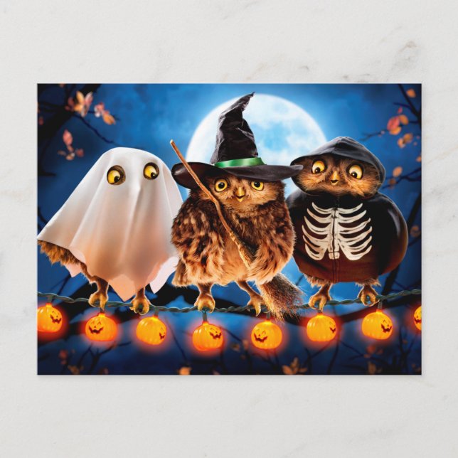 Halloween Owls Invitation Postcard (Front)