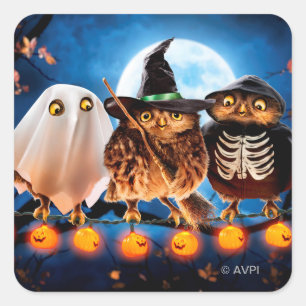 Halloween Owls Square Sticker