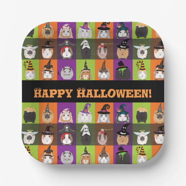 Halloween Paper Plates Guinea Pigs (Front)