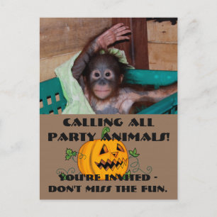 Halloween Party Animals Invitation Postcard