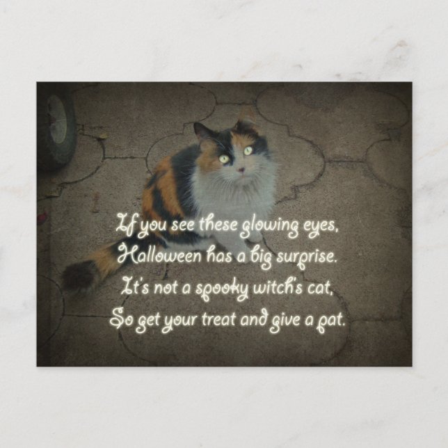 Halloween Poem - Calico Cat Postcard (Front)