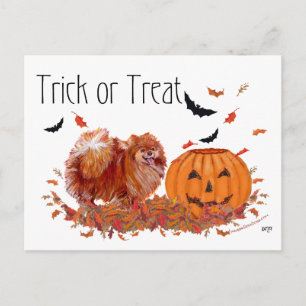 Halloween Pomeranian Postcard