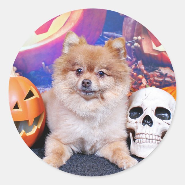 Halloween - Pomeranian - Simba Classic Round Sticker (Front)