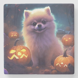 Halloween Pomeranian With Pumpkins Scary Stone Coaster