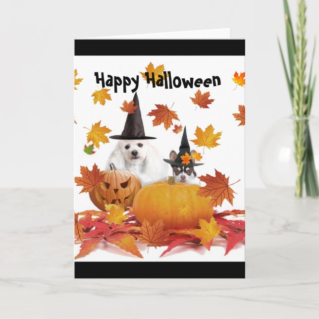 Halloween poodle and chihuahua dog card (Front)