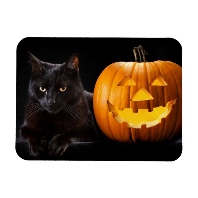 Halloween pumpkin and black cat magnet (Horizontal)