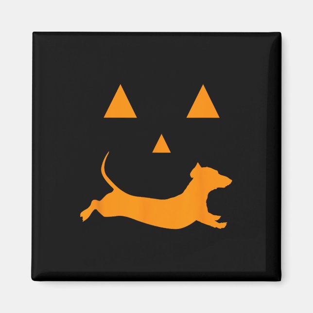 Halloween Pumpkin Dachshund Jack-o-lantern Costume Magnet (Front)