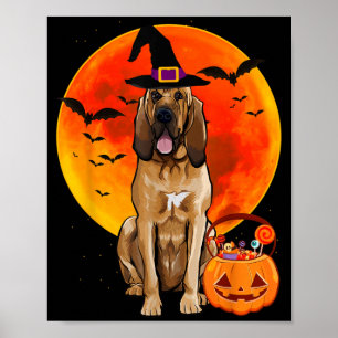 Halloween Pumpkin Dog Saint Hubert Dog Poster