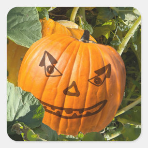 Halloween Pumpkin Jack-o-lantern smile face Square Sticker