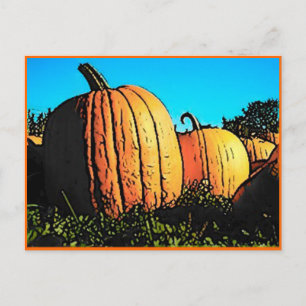 Halloween Pumpkin Patch in Daytime Postcard