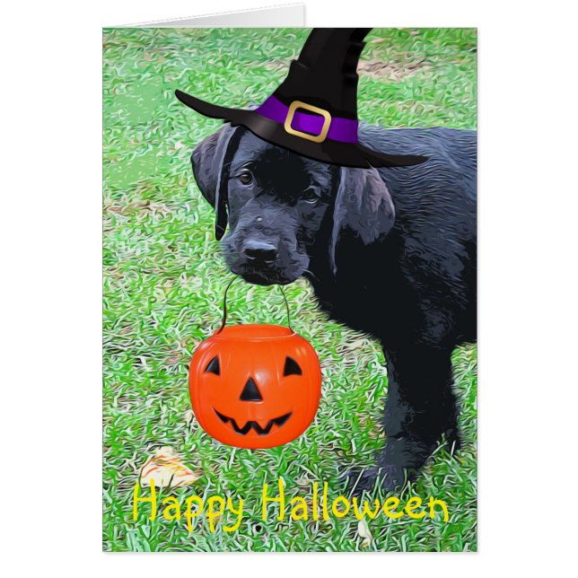 Halloween Pumpkin Puppy  - Black Lab (Front)