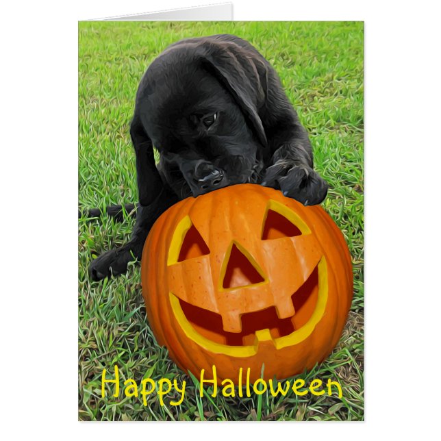 Halloween Pumpkin Puppy  - Black Lab (Front)