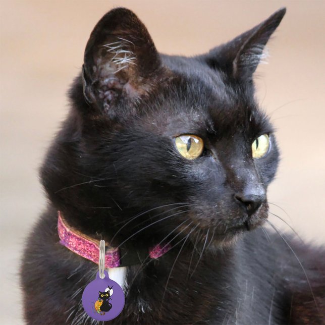 Halloween Pumpkin Purple Black Cat Pet Tag (Creator Uploaded)