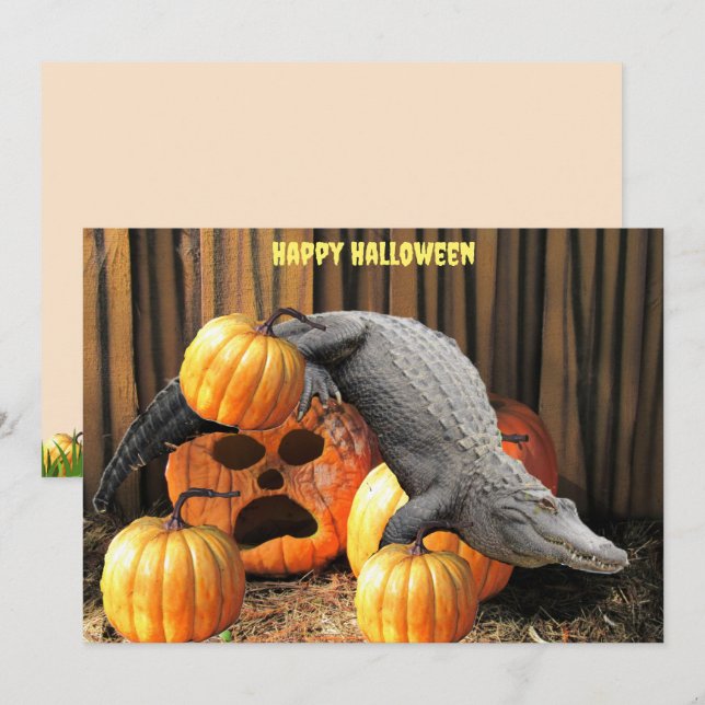 Halloween Pumpkins and Gator  (Front/Back)
