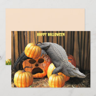 Halloween Pumpkins and Gator 