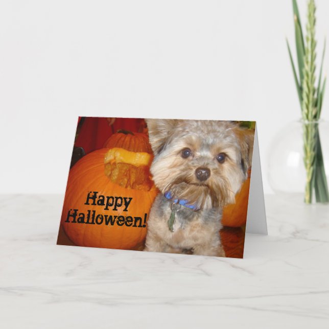 Halloween Pup Card (Front)