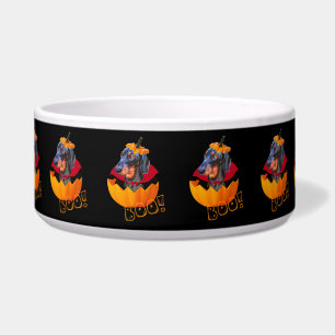 Halloween sausage dog pumpkin