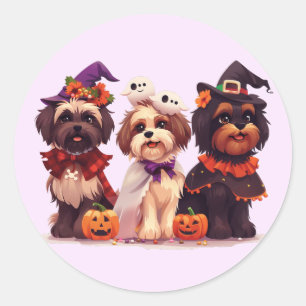 Halloween Shih Tzu Dogs Classic Round Sticker