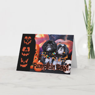 Halloween - Shih Tzu - Ruffles Riley Card