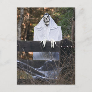 Halloween Skeleton Postcard