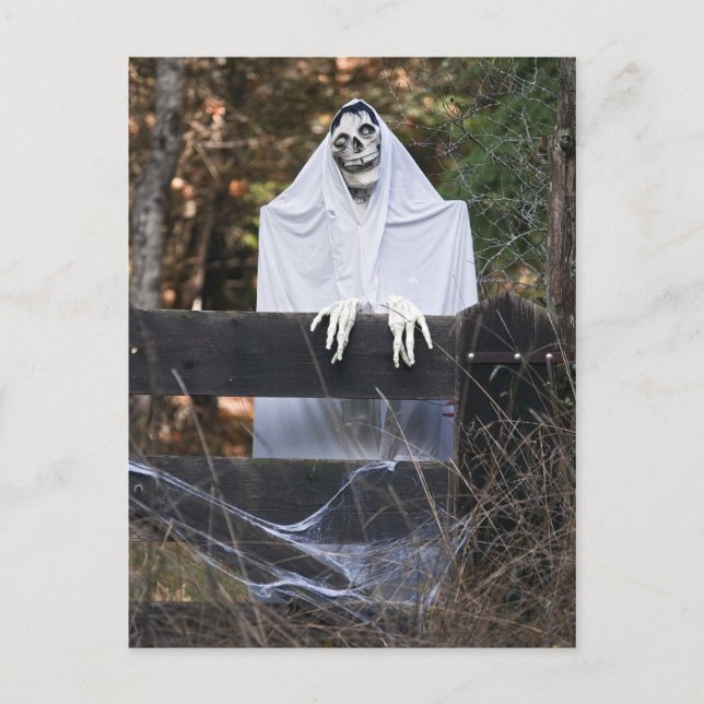Halloween Skeleton Postcard (Front)