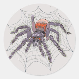Halloween Spider Creepy Fun Classic Round Sticker