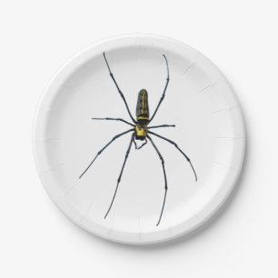 Halloween Spider Paper Plate