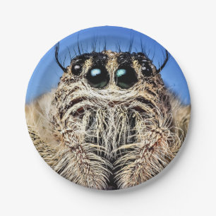 Halloween Spider Paper Plate