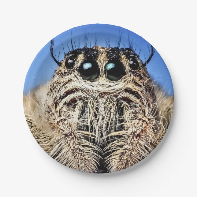 Halloween Spider Paper Plate (Front)