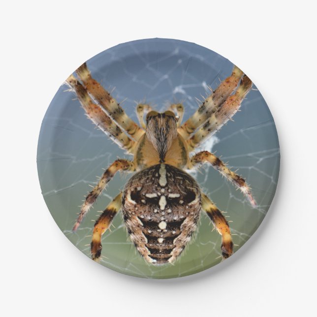 Halloween Spider Paper Plate (Front)