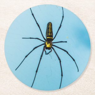 Halloween Spider Round Paper Coaster