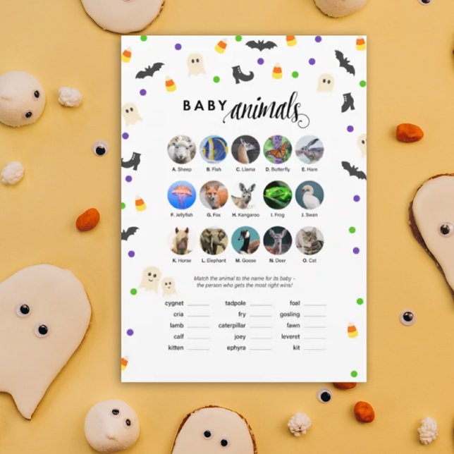 Halloween theme baby shower game baby animals programme (Baby Animals!  Halloween inspired baby shower game for October baby showers.)