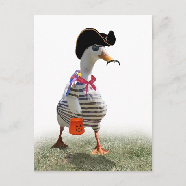Halloween Trick or Treating Pirate Duck Postcard (Front)