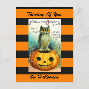 Halloween vintage art postcard