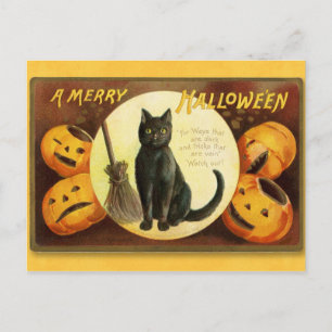 Halloween Vintage Cat and Pumpkins Postcard