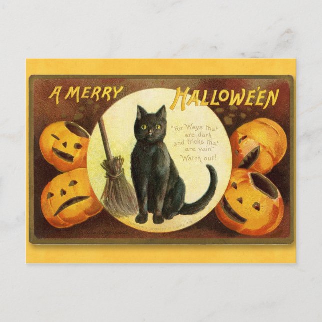 Halloween Vintage Cat and Pumpkins Postcard (Front)