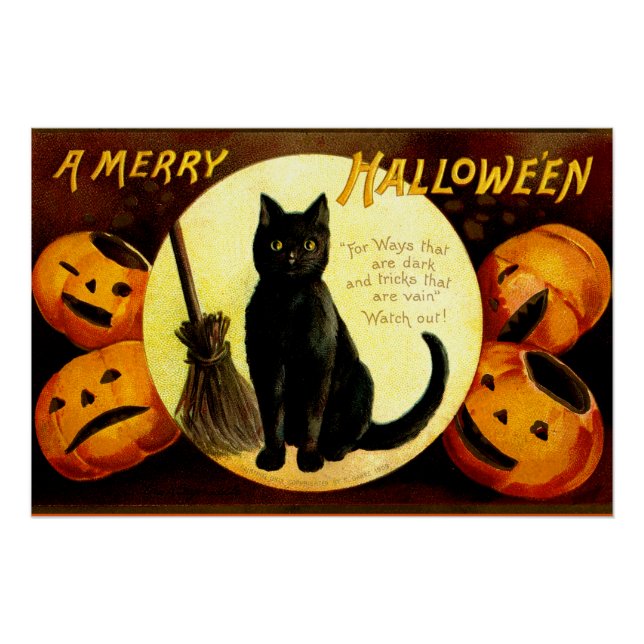 Halloween vintage cat  poster (Front)