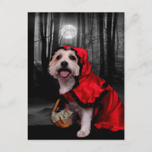 Halloween - Westie - Lady Postcard