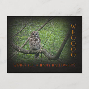 Halloween Wishies - Barred Owl Postcard