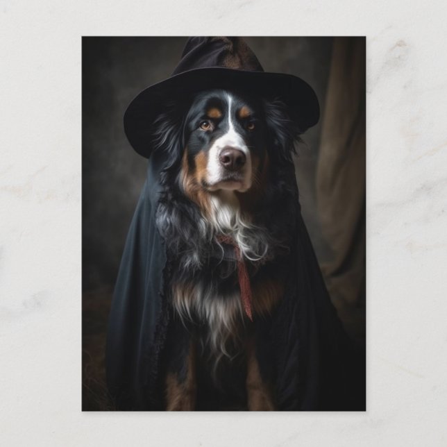 Halloween Witch Bernese Mountain Dog Postcard (Front)