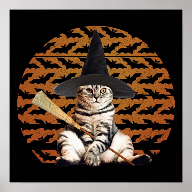 Halloween Witch Cat Poster (Front)