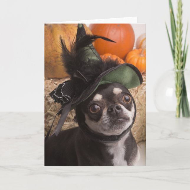 Halloween Witch Dog Card (Front)