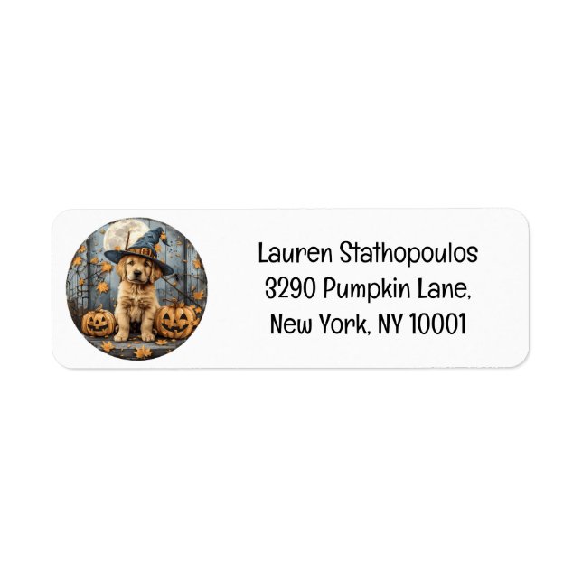 Halloween Witch Golden Retriever Puppy Pumpkins (Front)