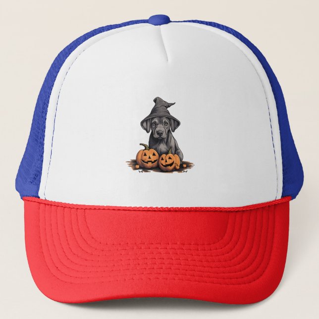 Halloween Witch Hat Pumpkin Dog Great Dane (Front)