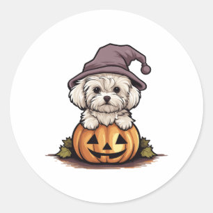 Halloween Witch Hat Pumpkin Dog Maltese Classic Round Sticker