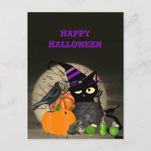 Halloween Witchy Black Cat For Kids Postcard