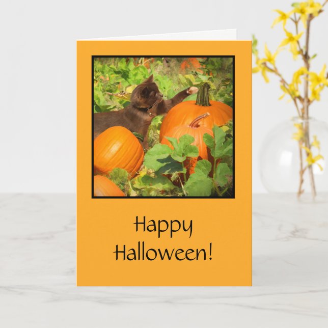 Halloween with Cute Kitty and Pumpkin Card (Yellow Flower)