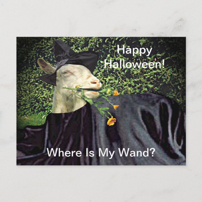 Halloween Wizard Goat Postcard (Front)