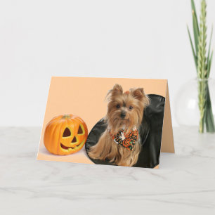 Halloween Yorkie Card