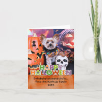 Halloween - Yorkie - Vinnie